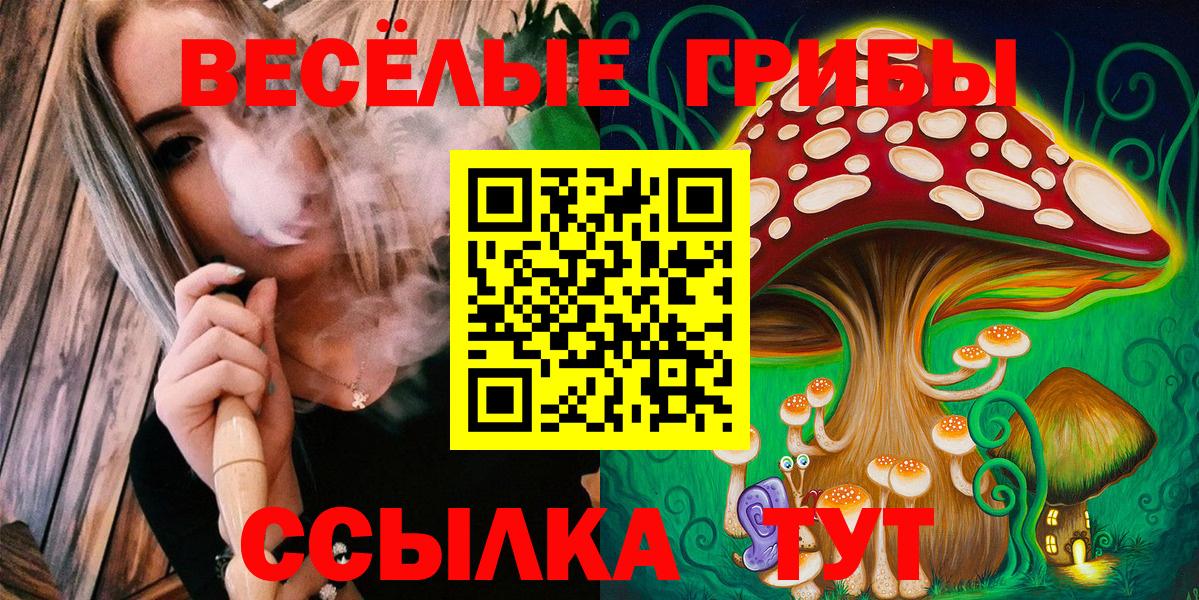 Псилоцибиновые грибы мухоморы  Вход с VPN  Саров 